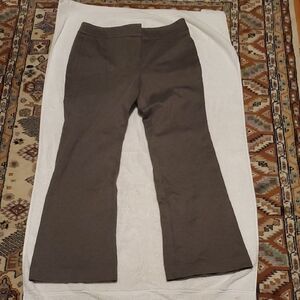 Talbots Women's Flare Pants in Brown